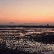 けんたの画像