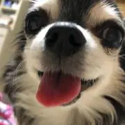 ラム