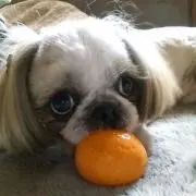 jijiの画像
