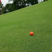 メロンバウム
