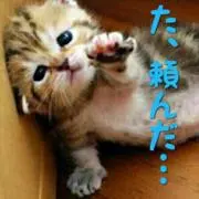 はるはる