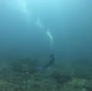 minの画像