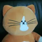 茂木梅吉の画像