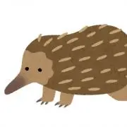 ©︎°の画像