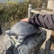 mkの画像