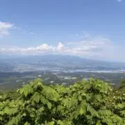 ALEXANDERの画像