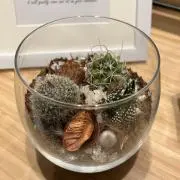 ななの画像