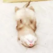 断捨離の画像