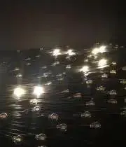yorgosの画像