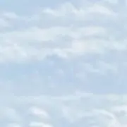 みの画像