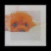 sarlly