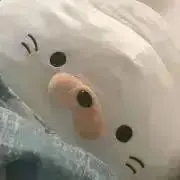 のぅと/プロフに説明の詳細の画像