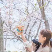 ※プロフィール必読　こっちゃんママの画像