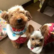 3JSB☆