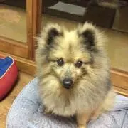 kazuの画像