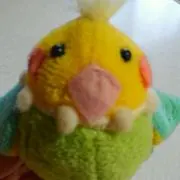 amoko