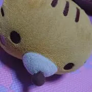 とらごろうの画像