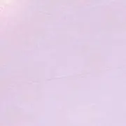 からあげの画像