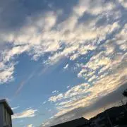 塩昆布の画像