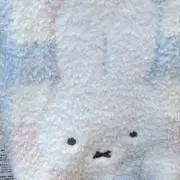 MFの画像