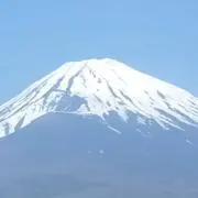 むめいの画像