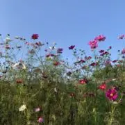 U05の画像