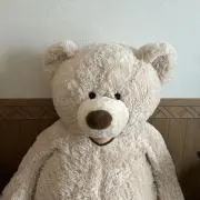 たつきちの画像