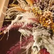マルメロの画像