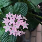 あおいそらの画像