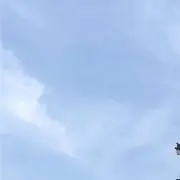 今の画像