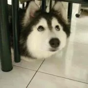 ＊iku＊の画像