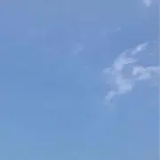 haruの画像