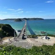 Rの画像