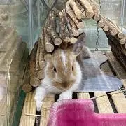 ニック
