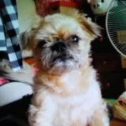 まめ