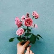 smr ⚠︎プロフ読んでくださいの画像