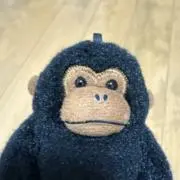 ゴリの画像