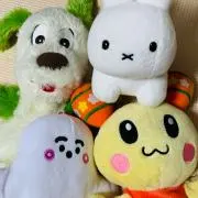 ヨシの画像