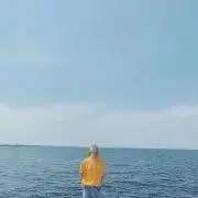Rの画像