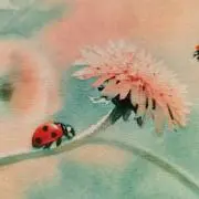 Kmrk10585の画像
