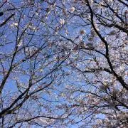 あー