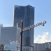 BOURの画像