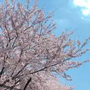 さぁやの画像