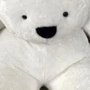 ぎゅの画像