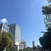 Pioの画像