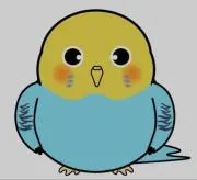 インコの画像