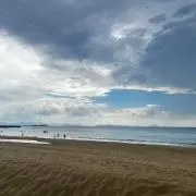 yutの画像
