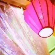 いかの画像