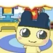 猫ゴッドの画像