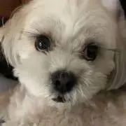 くぅ